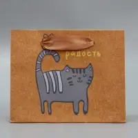 Пакет подарочный крафтовый, упаковка, «Несу радость», S 15 х 12 х 5.5 см Пакет подарочный крафтовый, упаковка, «Несу радость», S 15 х 12 х 5.5 см