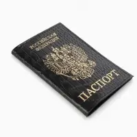 Обложка для паспорта, натуральная кожа, крокодил, тиснение фольгой, чёрная