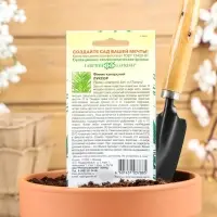 Семена комнатных цветов Финик "Луксор", ц/п, 2 шт. Семена комнатных цветов Финик "Луксор", ц/п, 2 шт.