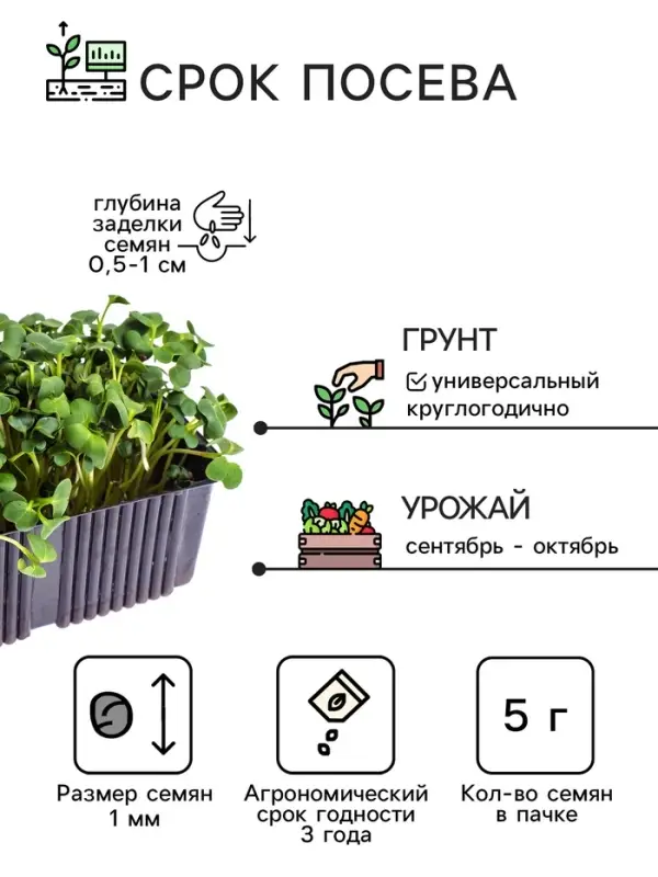 Семена Микрозелень Руккола, 5 г, &laquo;Рецепты дедушки Никиты&raquo;