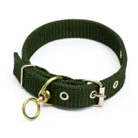 Ошейник двухслойный с вертлюгом, 2.5 см, зелёный