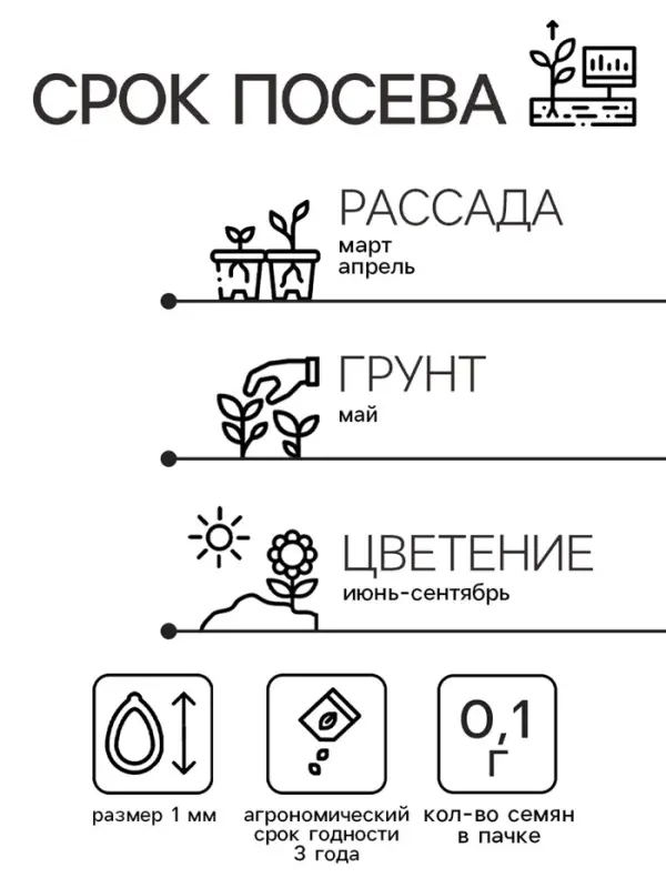 Семена цветов Иберис "Александрит", Евро, 0,1 г