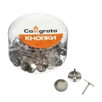 Кнопки канцелярские 12 мм, никелированные, 50 штук