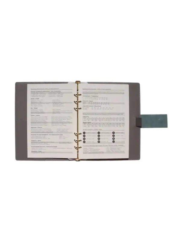 Органайзер на кольцах, А5, с хлястиком, 80л, линия, к/зам, Зеленый Органайзер на кольцах, А5, с хлястиком, 80л, линия, к/зам, Зеленый