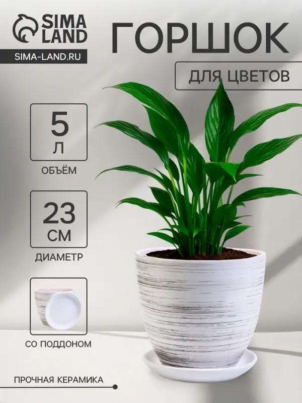 Горшок для цветов &laquo;День&raquo;, 5 л, d=23 см, h=21 см, керамический, с поддоном, белый