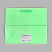 Пакет подарочный ламинированный, ML 27&times;23&times;11.5 см, неон салатовый