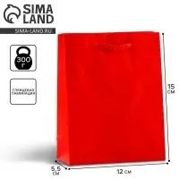 Пакет подарочный ламинированный, упаковка, &laquo;Красный&raquo;, S 12 х 15 х 5.5 см