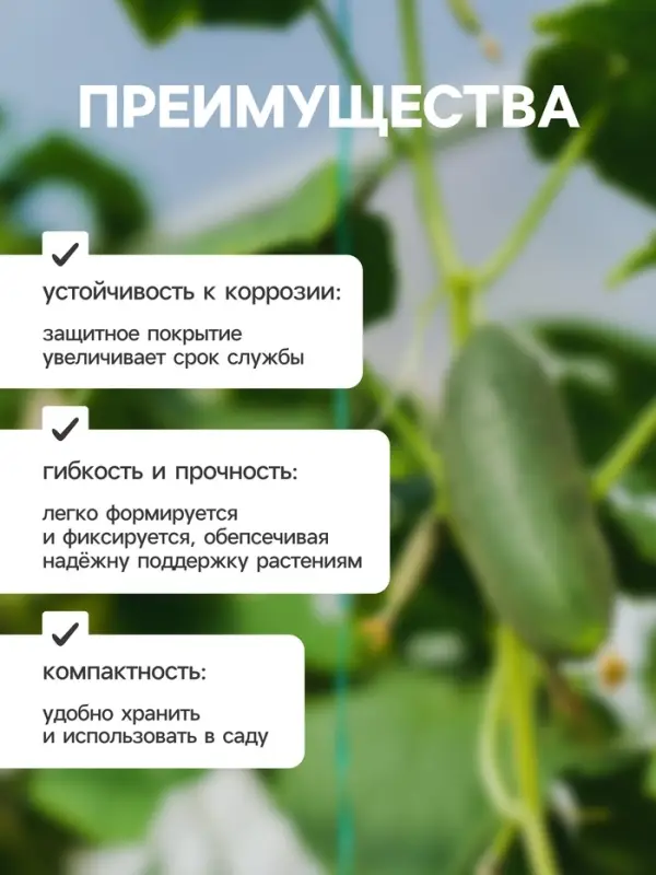 Проволока для подвязки растений, 50 м, металл, зелёная, Greengo