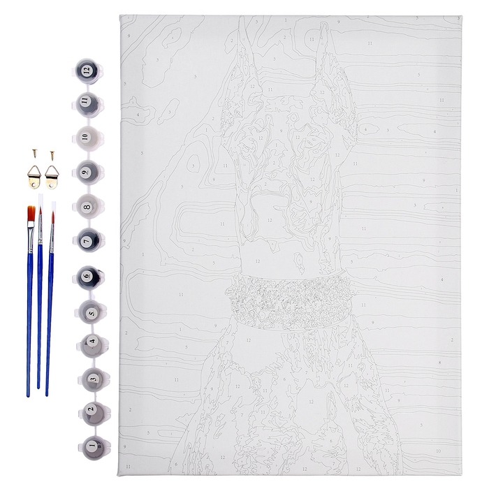 Картина по номерам на холсте с подрамником &laquo;Доберман&raquo;, 30х40 см