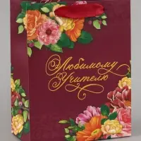 Пакет подарочный ламинированный, упаковка, &laquo;Любимому Учителю&raquo;, MS 18&times;23&times;10 см