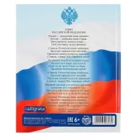 Дневник универсальный для 1-11 классов, &laquo;Символика-5&raquo;, твердая обложка 7БЦ, глянцевая ламинация, 40 листов