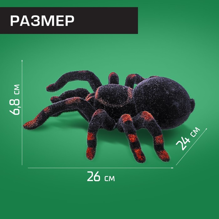 Паук радиоуправляемый «Тарантул», работает от батареек, световые эффекты Паук радиоуправляемый «Тарантул», работает от батареек, световые эффекты