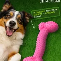 Жевательная игрушка для собак &laquo;Любимое лакомство&raquo;, 11&times;4 см, TPR, розовая