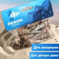 Набор ракушек, 3 - 5 см, 100 г