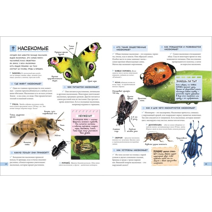 «Большой подарок школьнику» «Большой подарок школьнику»