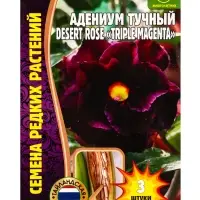 Семена цветов Адениум Triple Magenta 3 шт.  12.29 г.