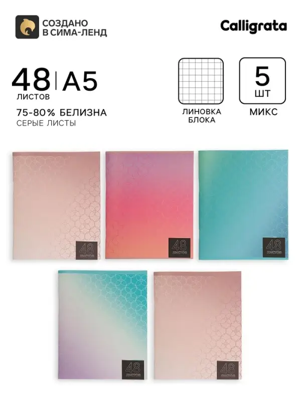 Тетради 5 штук (4 разные, 1 повторяющаяся), 48 листов в клетку &laquo;Мыльные пузыри&raquo;, серые листы, обложка мелованная блок №2