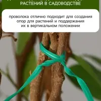 Проволока подвязочная, 20 см, в наборе 100 шт., зелёная, Greengo