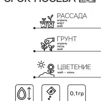 Семена гвоздика «Фиолетовая», 0.1 г Семена гвоздика «Фиолетовая», 0.1 г