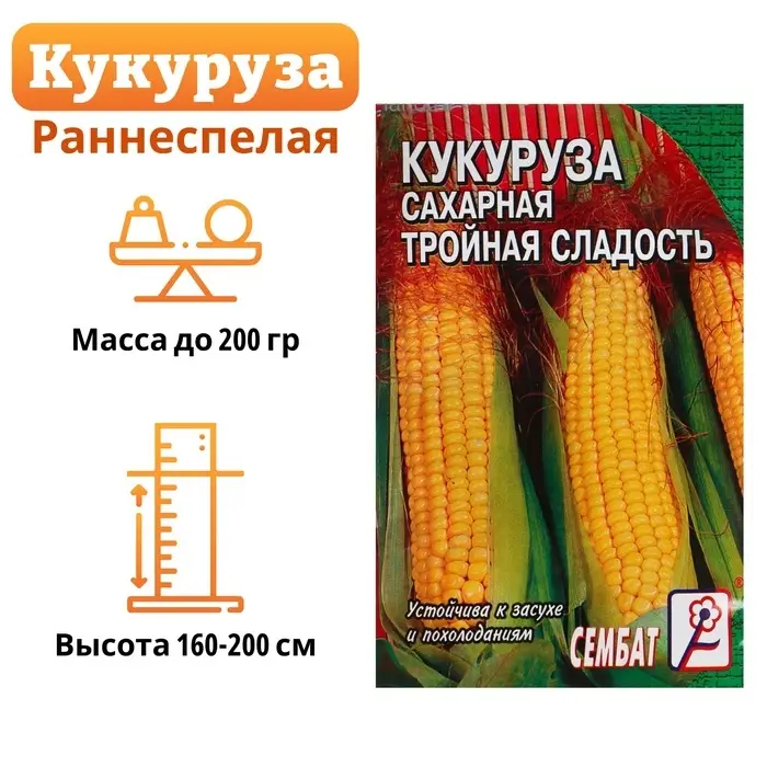 Семена Кукуруза  сахарная  Семена Кукуруза  сахарная "Тройная сладость", 5 г