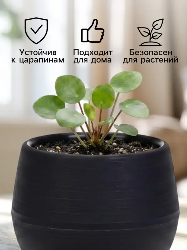 Горшок цветочный &laquo;Япония&raquo;, 125 мл, d=8 см, h=6.5 см, пластиковый, с поддоном, графитовый
