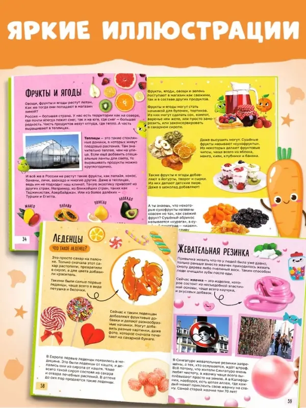 Книга в твёрдом переплёте &laquo;Энциклопедия о еде&raquo;