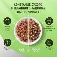 Сухой корм KiteKat "Мясной пир" для кошек, 350г