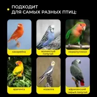 Кормушка для птиц, 6.7&times;6.2&times;8 см, внешняя, пластик, прозрачная