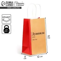 Пакет подарочный крафтовый, упаковка, «Душнила», 12 х 21 х 9 см