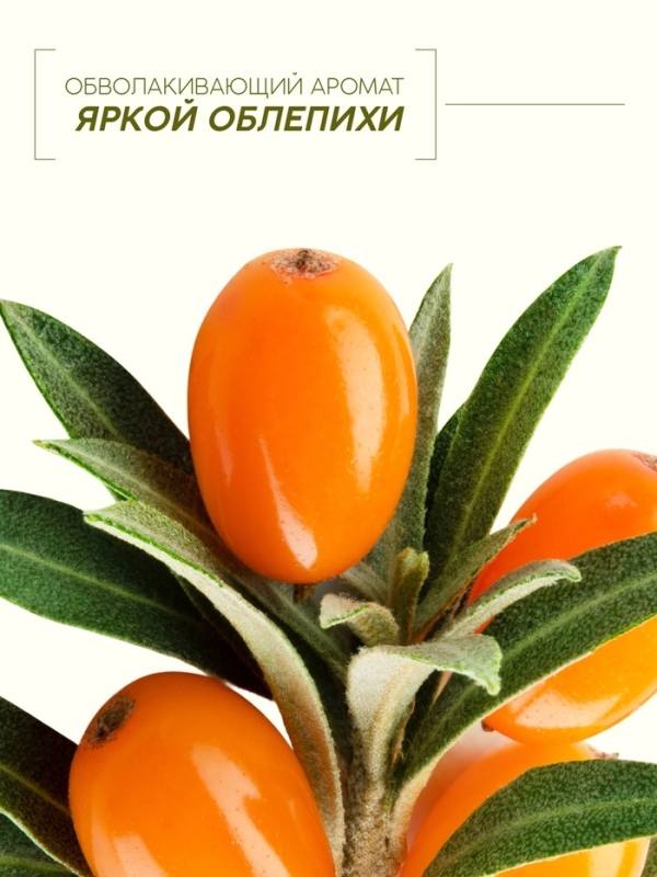 Гель для душа, витаминное увлажнение, аромат облепихи, 250 мл, Рябина Гель для душа, витаминное увлажнение, аромат облепихи, 250 мл, Рябина