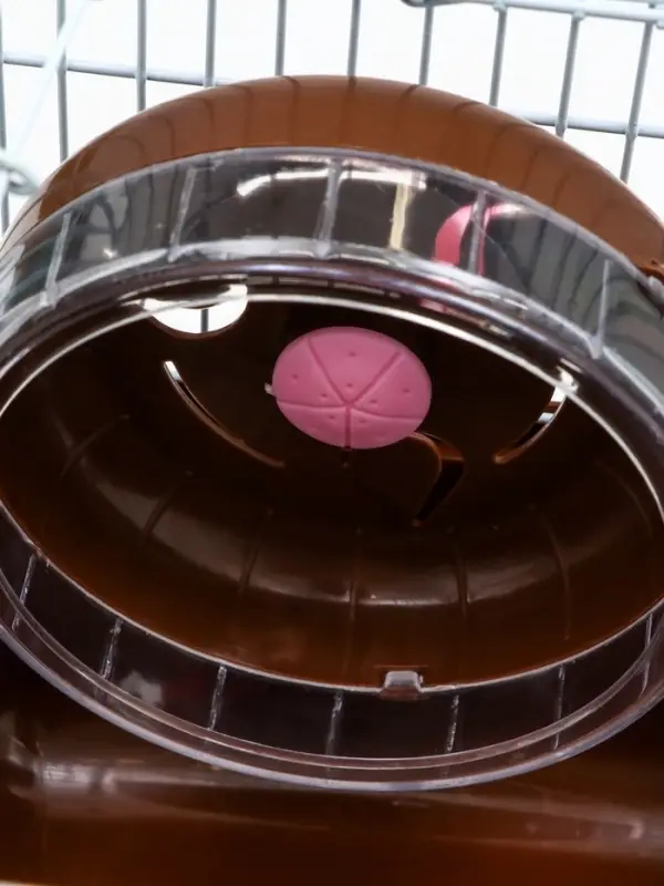 Клетка для грызунов &laquo;Пижон&raquo;, 23&times;17&times;17 см, коричневая