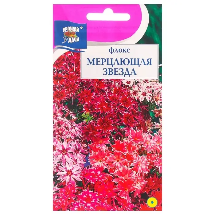 Семена цветов Флокс  Семена цветов Флокс "Мерцающая звезда", 0,1 г
