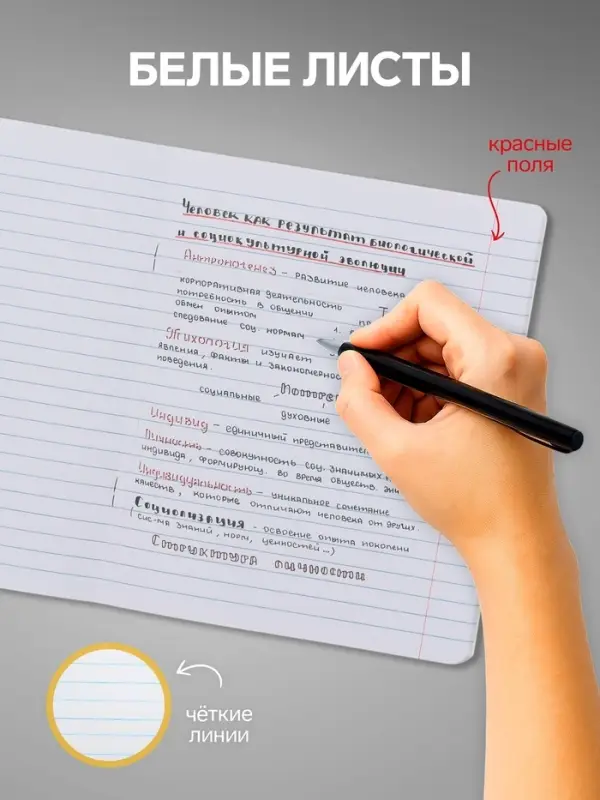 Комплект тетрадей из 10 штук, 24 листа в линию Calligrata "Школьная", обложка мелованный картон, ВД-лак, блок офсет, 5 видов по 2 штуки