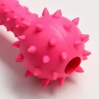Жевательная игрушка для собак &laquo;Грозная гантель&raquo;, 15&times;5 см, розовая