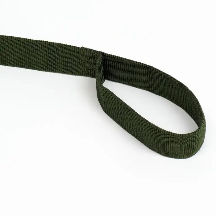 Поводок 3 м &times; 4 см, зелёный