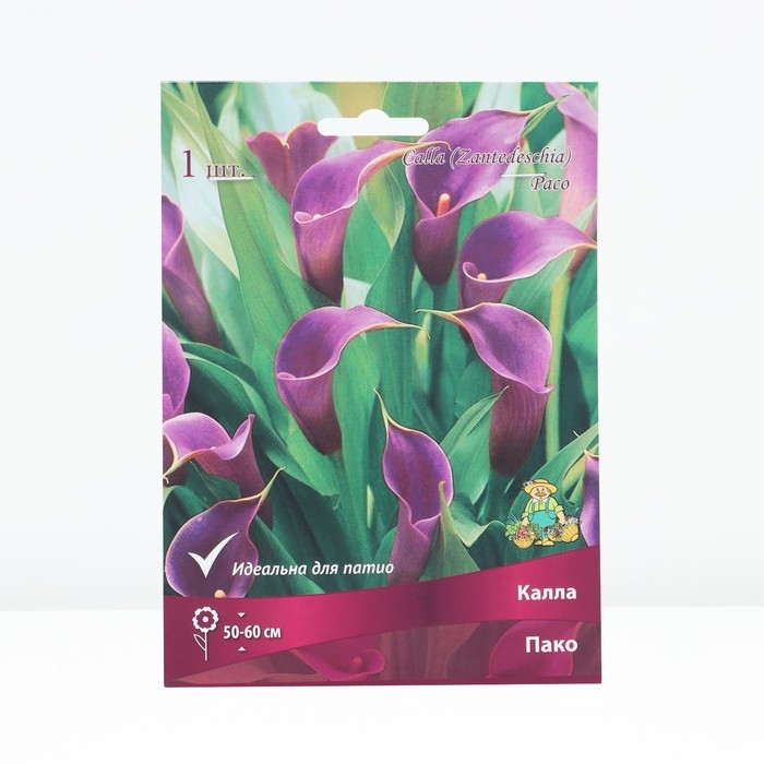 Калла Пако, р-р 14/16, 1 шт, Весна 2025 Калла Пако, р-р 14/16, 1 шт, Весна 2025