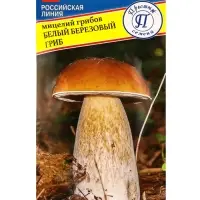 Мицелий грибов Белый гриб &laquo;Берёзовый&raquo;, 60 мл, &laquo;Престиж семена&raquo;