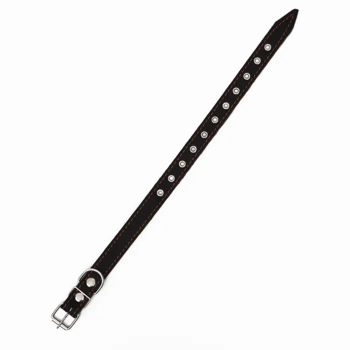 Ошейник однослойный, безразмерный, 56&times;2.5 см, ОШ 17-44 см, кожа, чёрный