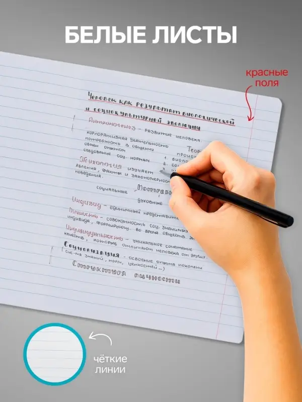 Комплект тетрадей из 10 штук, 12 листов в линию Calligrata "Пушистые друзья", обложка мелованный картон, блок офсет, 5 видов по 2 штуки