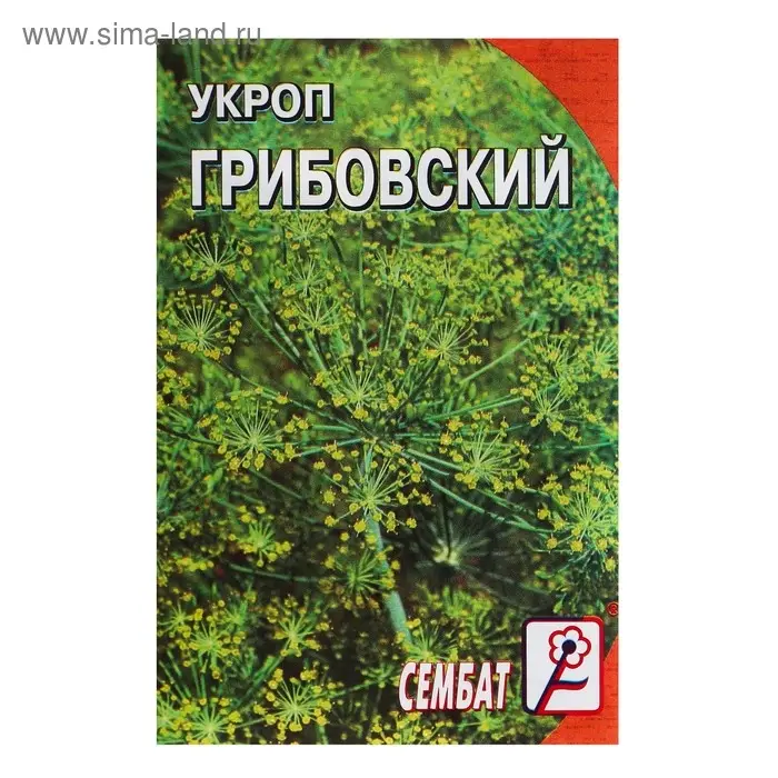 Семена Укроп  Семена Укроп "Грибовский", 3 г