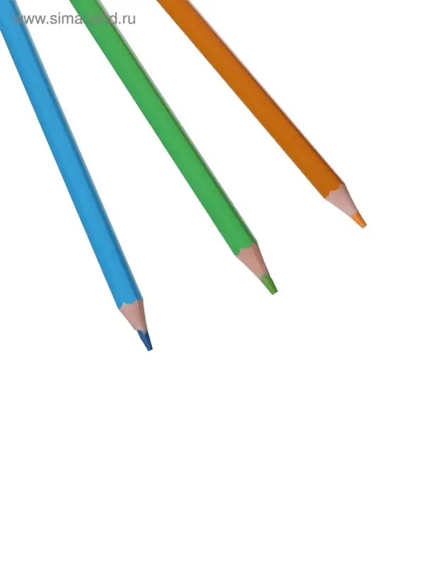 Карандаши цветные 24 ZOO, пластиковые, шестигранные