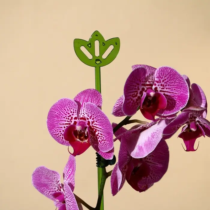 Опора для орхидей, h = 44 см, пластик, зелёная, МИКС Опора для орхидей, h = 44 см, пластик, зелёная, МИКС