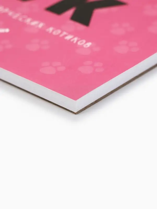 Скетчбук &laquo;Котобук&raquo; А5, 40 л, 100 г/м&sup2;