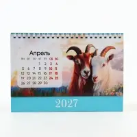 Календарь 2027 настольный, домик, 14&times;20 см