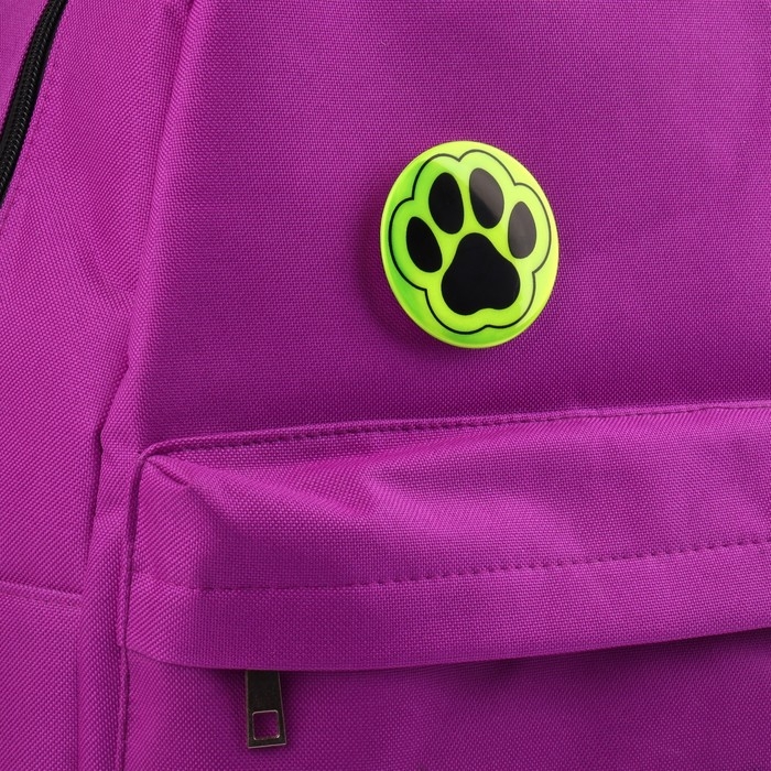 Светоотражающий значок «Лапка», d = 5,8 см, цвет МИКС Светоотражающий значок «Лапка», d = 5,8 см, цвет МИКС