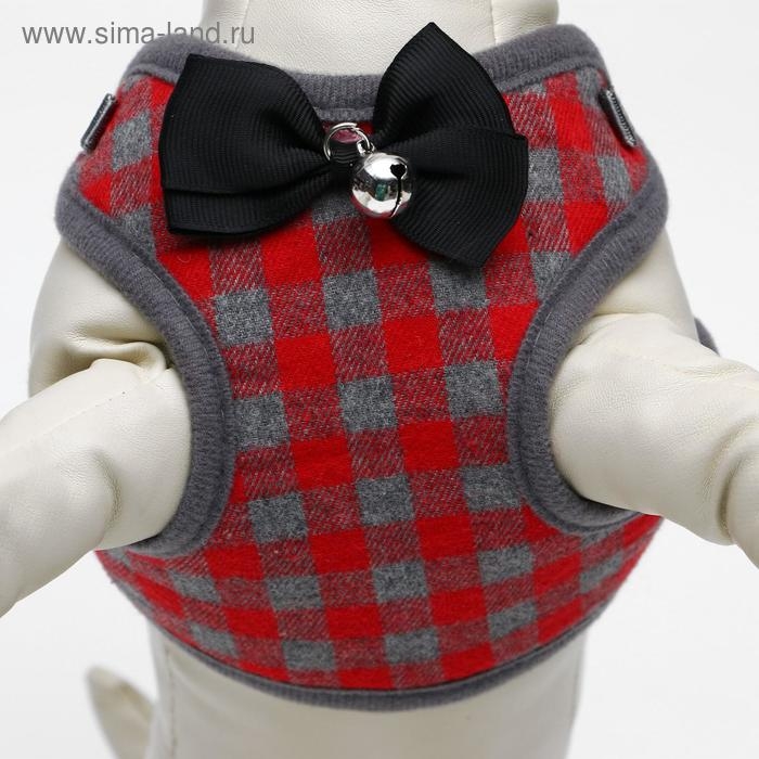 Комплект амуниции с мягкой шлейкой, L, поводок 120 х 1,5 см, ОШ 30-50 см, ОГ 36-56 см, красный   473 Комплект амуниции с мягкой шлейкой, L, поводок 120 х 1,5 см, ОШ 30-50 см, ОГ 36-56 см, красный   473