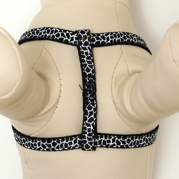 Комплект прошитый Комплект прошитый "Жираф", ширина 1 см, поводок 120 см, шлейка 23-35 см, чёрно-белый