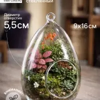 Флорариум &laquo;Каплевидная&raquo;, d отв-5.5 см, 9&times;9&times;16 см