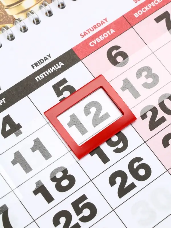 Календарь квартальный 2026 «Лошадь с поцолнухами» Календарь квартальный 2026 «Лошадь с поцолнухами»