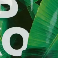 Пакет из нетканого материала с ламинацией, 36 x 46 x 16,